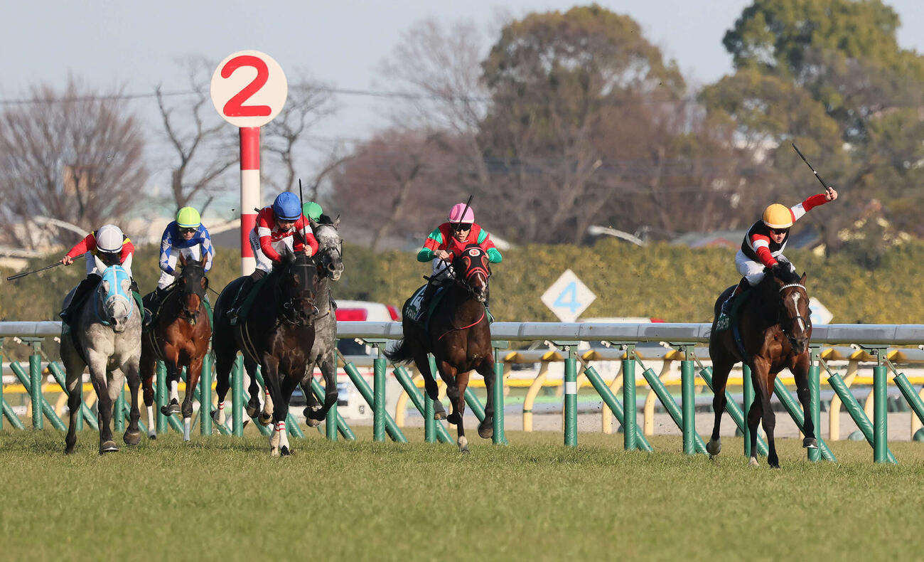 東京11R、ダイヤモンドSを制したスティンガーグラスとルメール騎手（右端）（撮影・丹羽敏通）