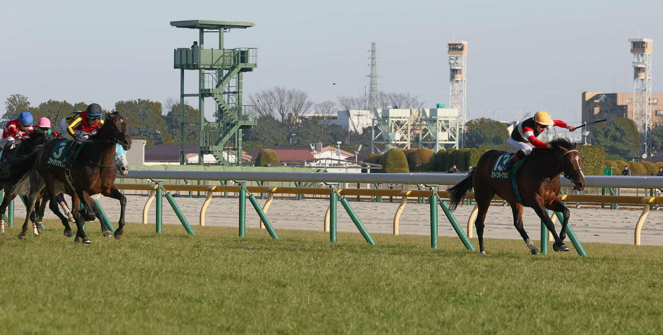 東京11R、ダイヤモンドSを制したスティンガーグラスとルメール騎手（右端）（撮影・丹羽敏通）