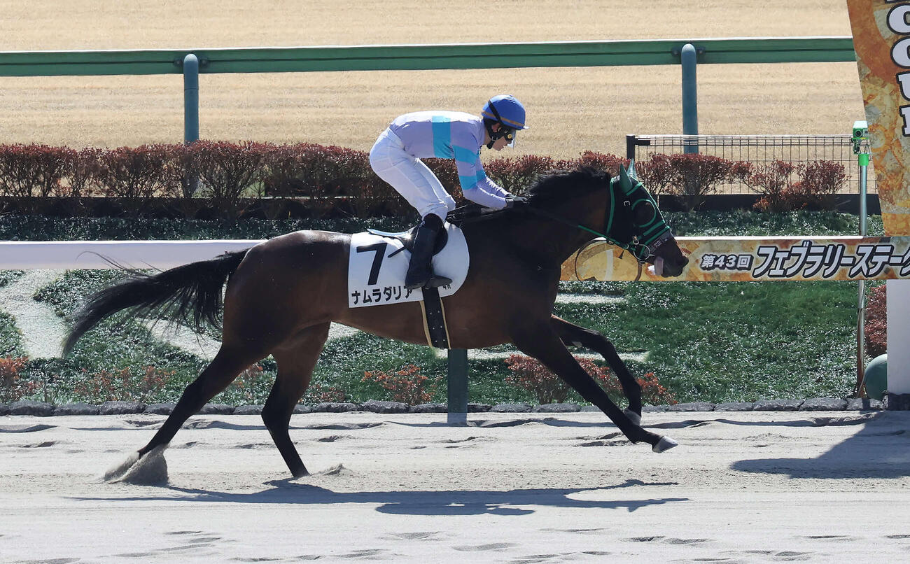 東京4R、3歳新馬戦を制したナムラダリアと原田騎手（撮影・丹羽敏通）