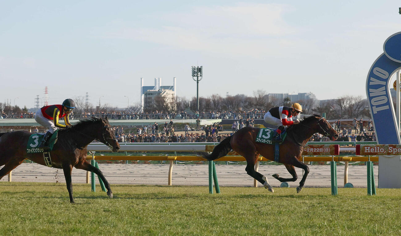 ダイヤモンドSを制したスティンガーグラスとルメール騎手（右）（撮影・丹羽敏通）