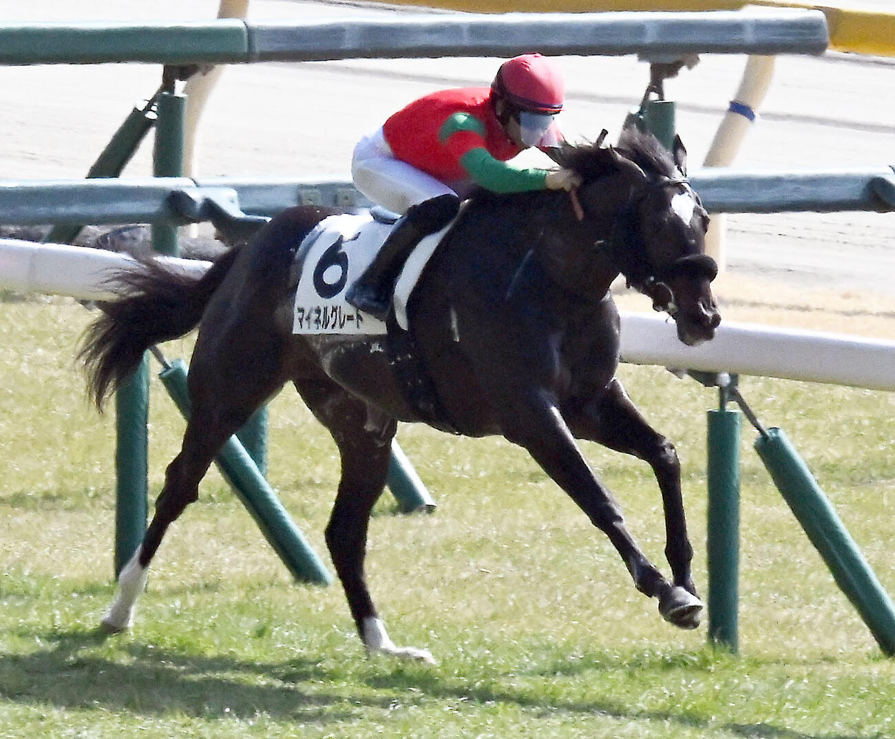 東京4R、3歳未勝利戦を制したマイネルグレートと荻野極騎手（撮影・千葉一成）