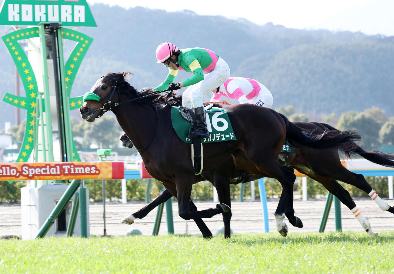 小倉大賞典を制したタガノデュードと古川吉洋騎手（撮影・鈴木正人）　
