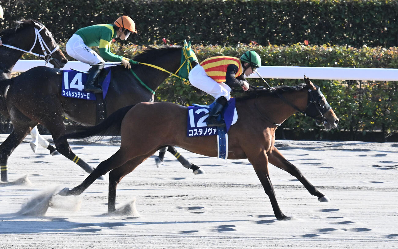 フェブラリーSを制したコスタノヴァとルメール騎手（撮影・千葉一成）