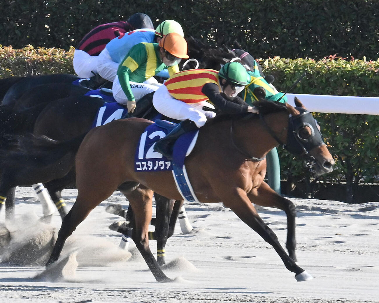フェブラリーSを制したコスタノヴァとルメール騎手（手前）（撮影・千葉一成）