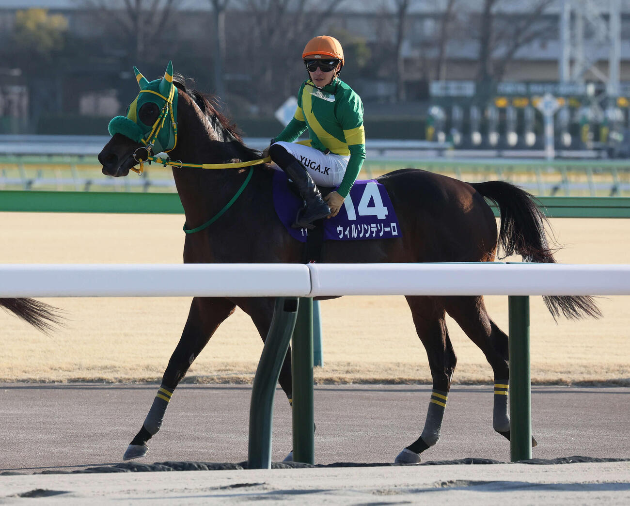 フェブラリーS2着に敗れたウィルソンテソーロと川田騎手（撮影・丹羽敏通）
