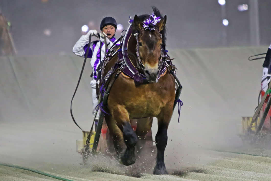 チャンピオンカップを制し重賞26勝目をマークしたメムロボブサップ。鞍上は阿部武臣騎手（提供・ばんえい十勝）