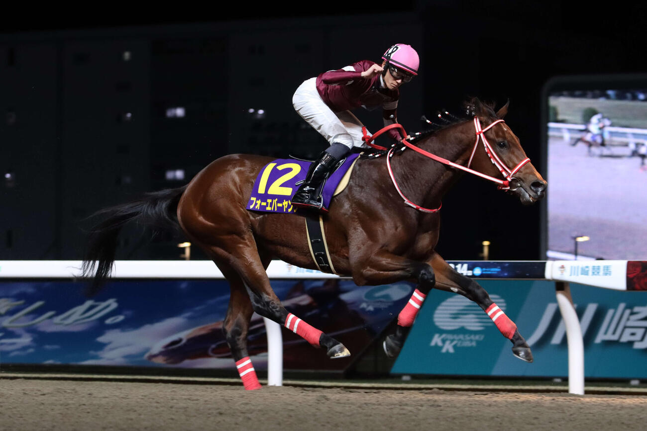 23年全日本2歳優駿を制したフォーエバーヤングと坂井瑠星騎手