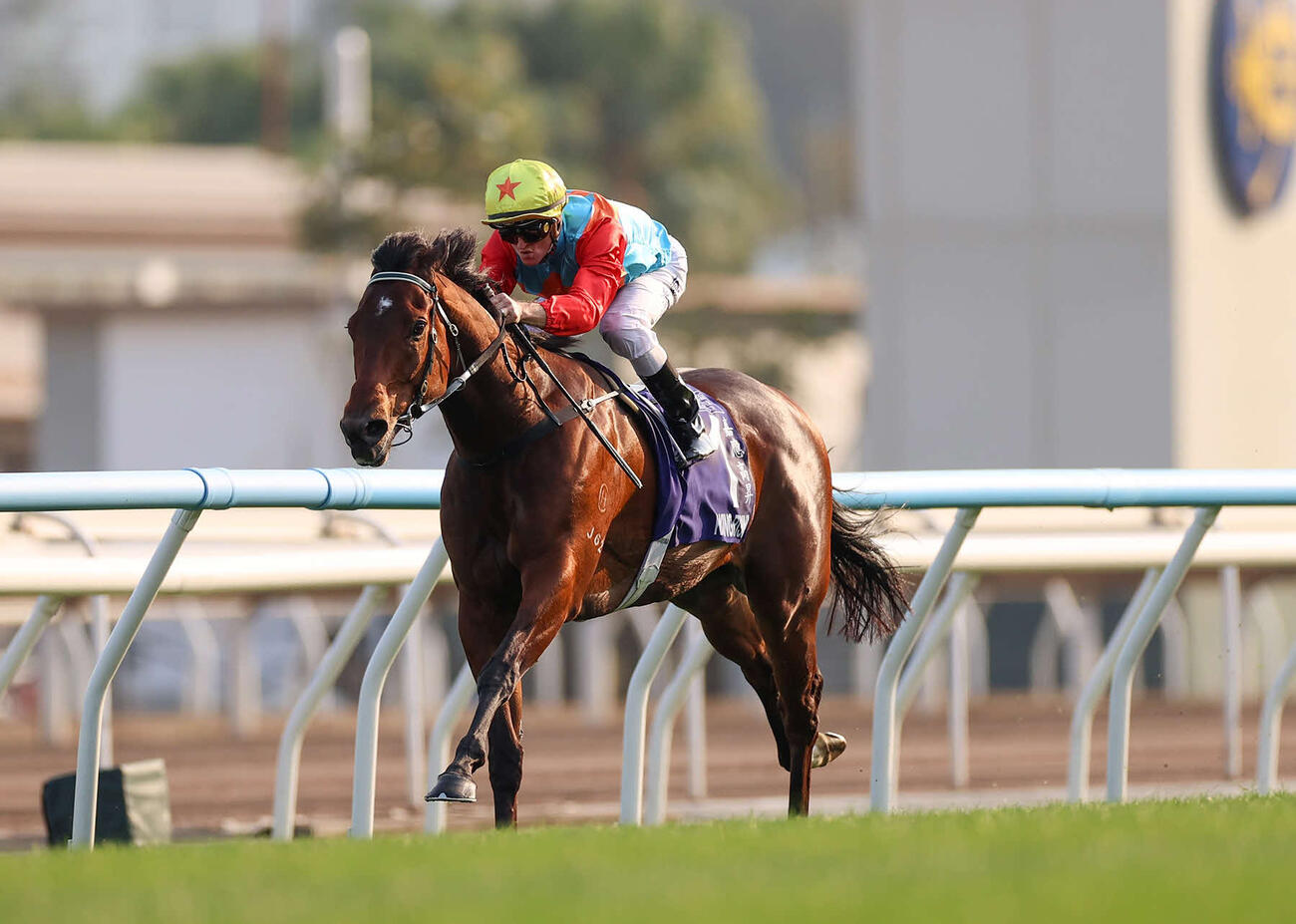 18連勝を達成したカーインライジング（C）The　Hong　Kong　Jockey　Club