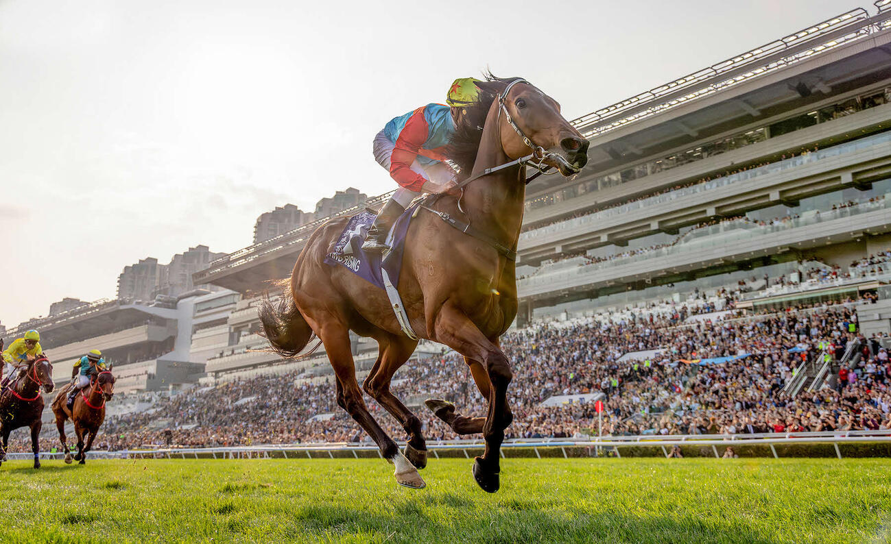 18連勝を達成したカーインライジング（C）The　Hong　Kong　Jockey　Club