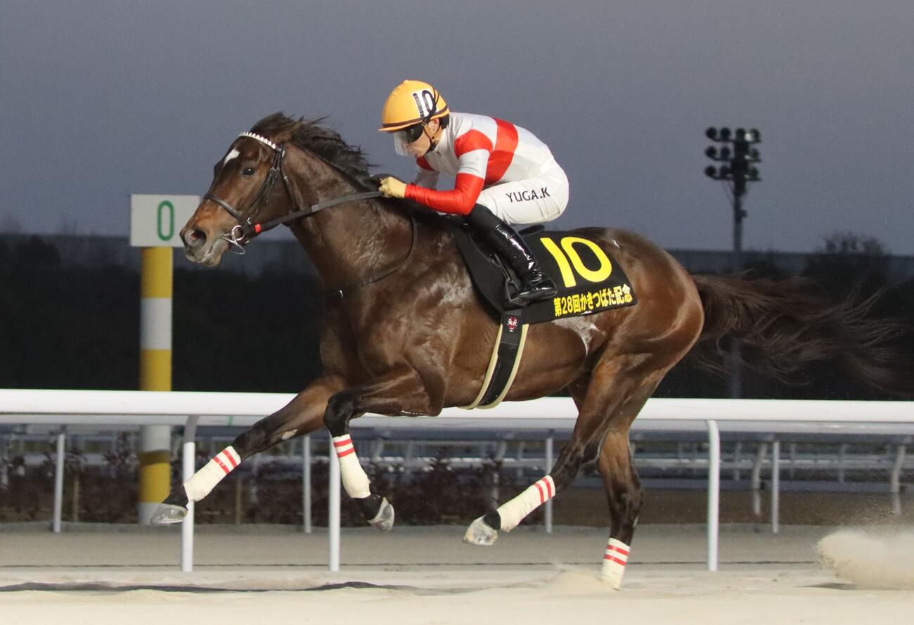 かきつばた記念で重賞初制覇を飾ったダノンフィーゴ（愛知県競馬組合提供）