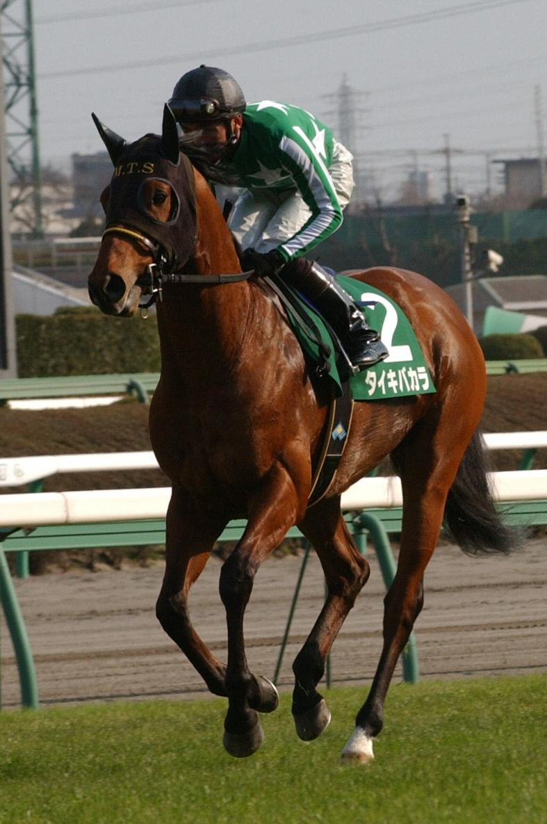 2004年3月、クリスタルカップに出走したタイキバカラ