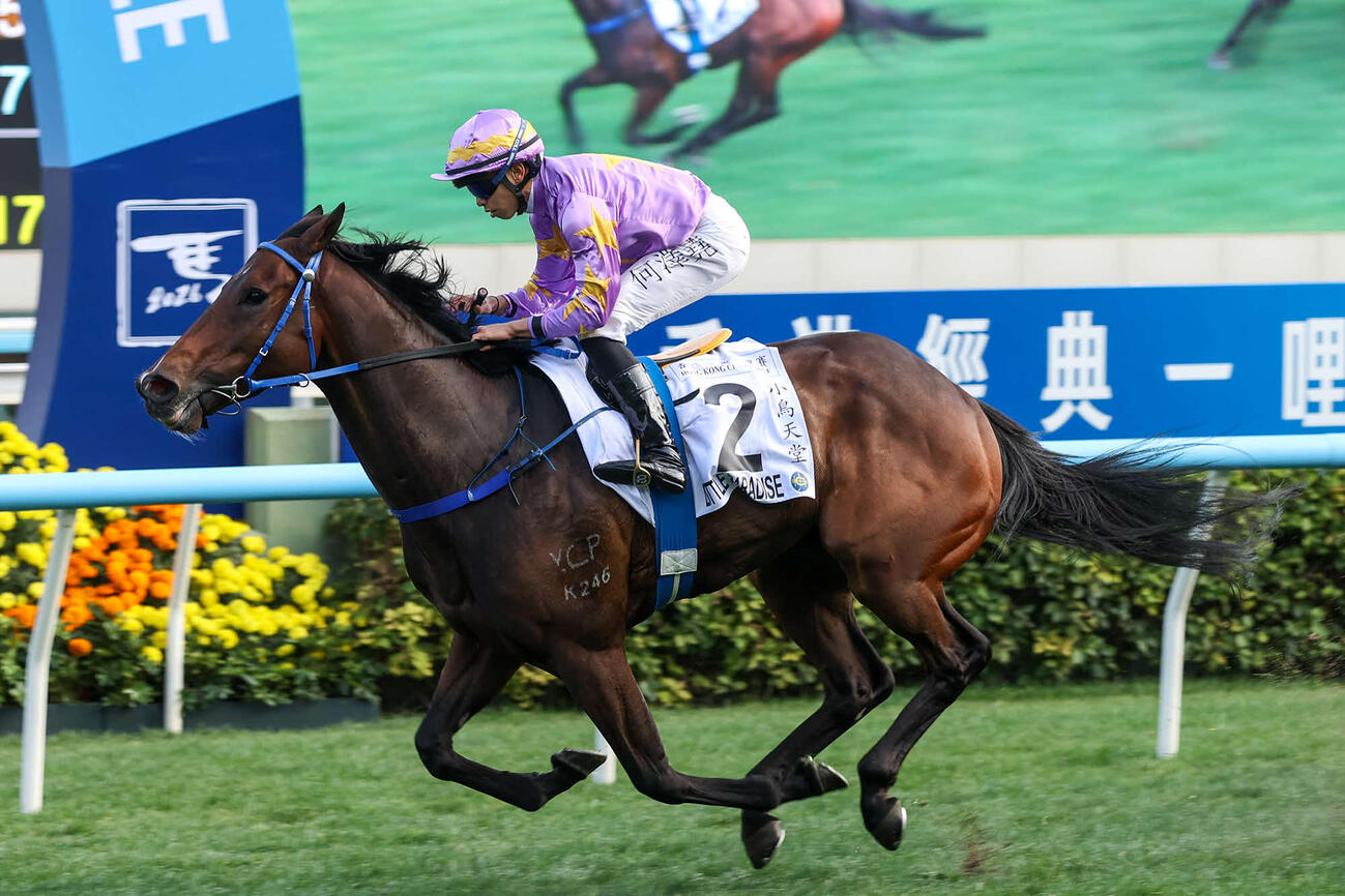 香港クラシックマイルを制したリトルパラダイス（（C）The Hong Kong Jockey Club）