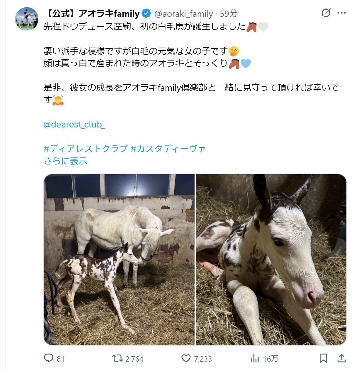 「アオラキfamily」の公式Xから