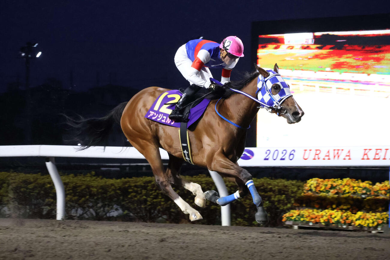 4コーナーで先頭に立ち日刊スポーツ賞ユングフラウ賞を制したアンジュルナと野畑凌騎手
