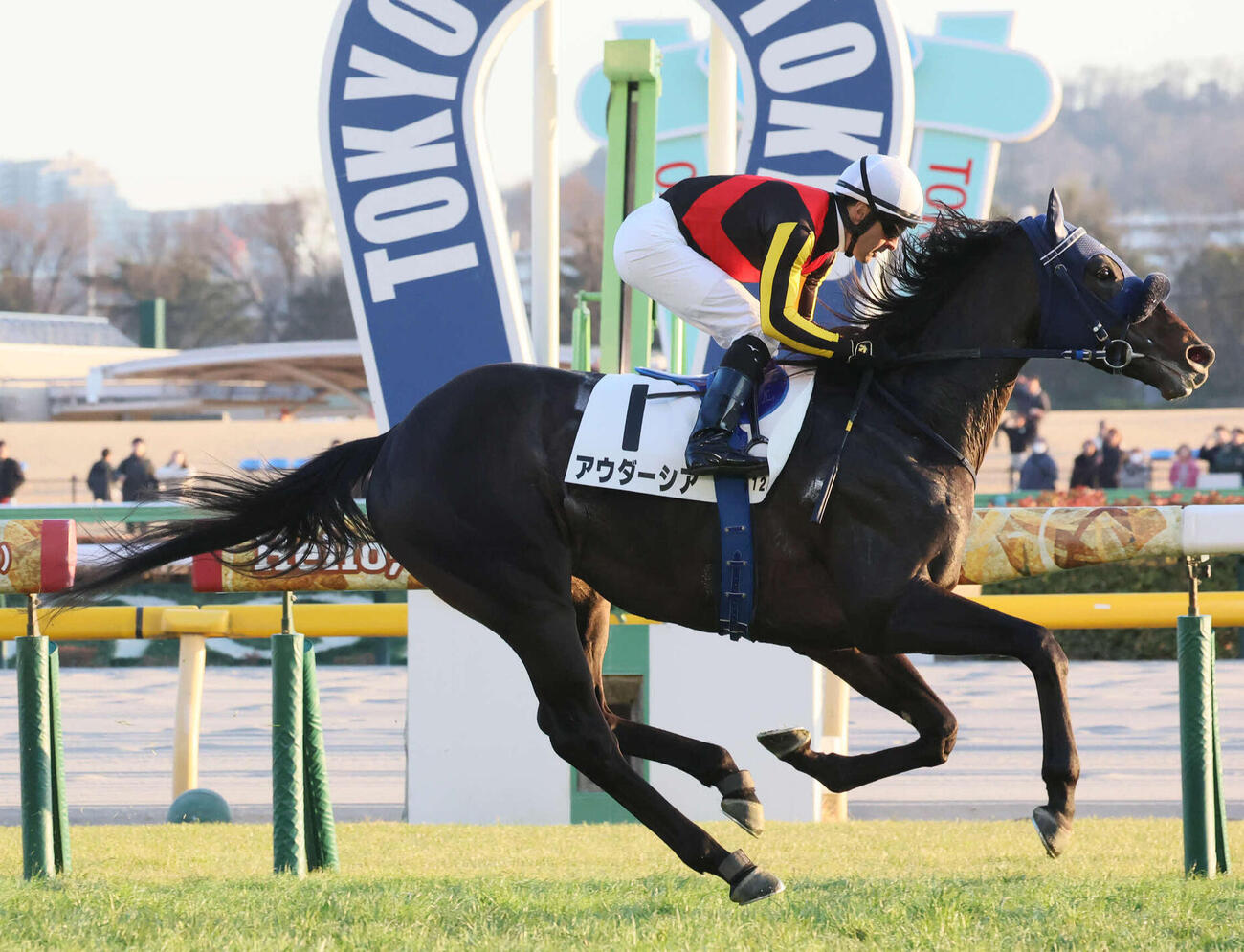 1日東京12R、3歳未勝利戦を制したアウダーシア