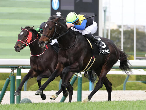 3冠牝馬アパパネの子アマキヒがオープン入り！国枝師は喜びのガッツ