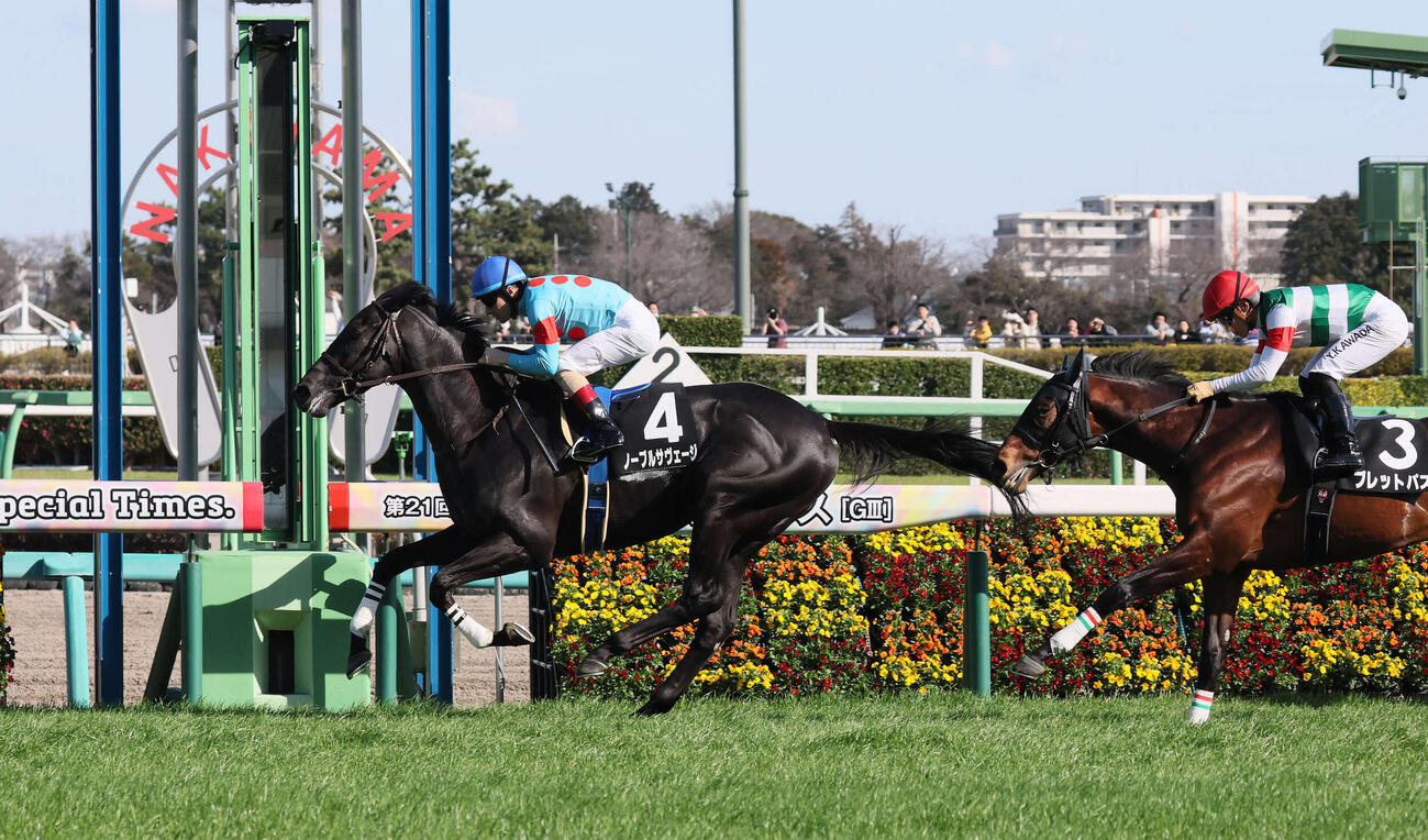水仙賞を制したノーブルサヴェージとルメール騎手（撮影・丹羽敏通）