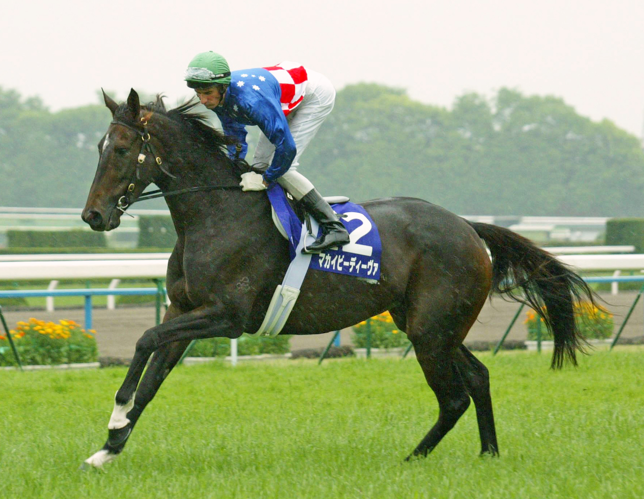 05年天皇賞・春に出走したマカイビーディーヴァ
