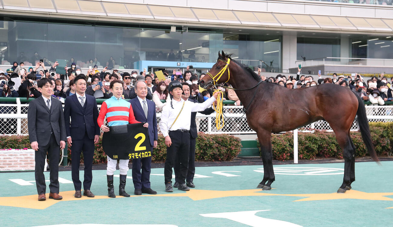 タマモイカロスでマーガレットSを制し口取りに並ぶ藤岡佑騎手（左から3人目）（撮影・白石智彦）
