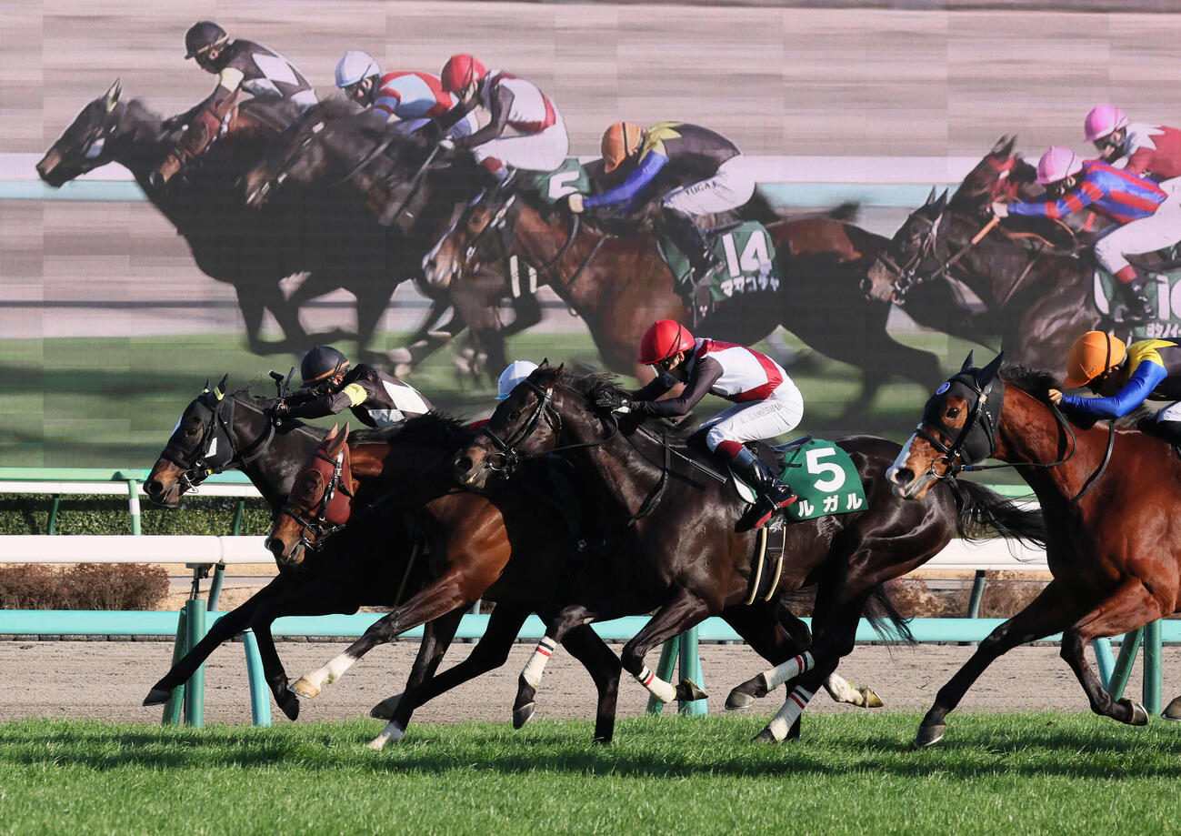 オーシャンSを制したペアポルックスと岩田康騎手（奥）。手前へ2着レイピア、3着ルガル、4着ママコチャ（撮影・丹羽敏通）