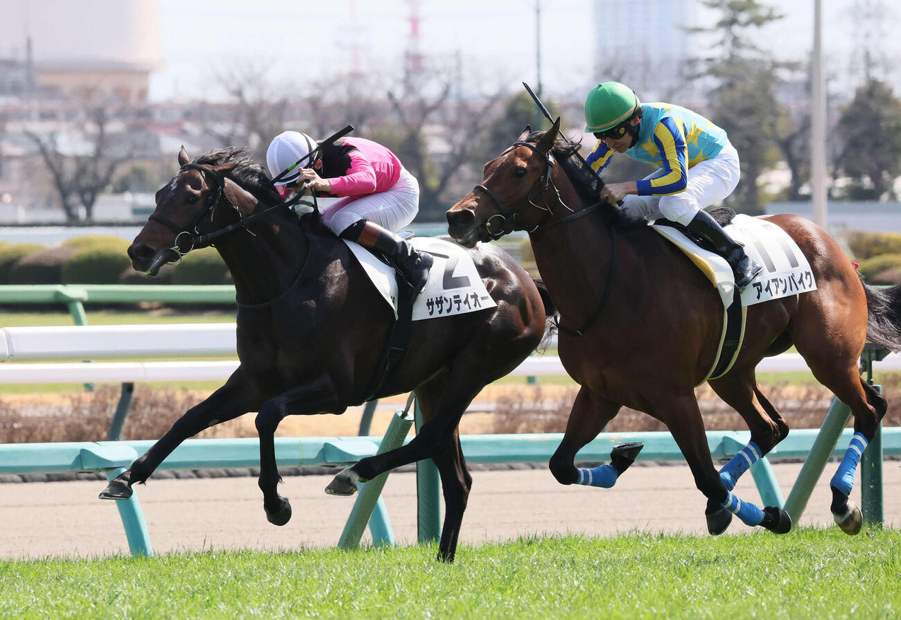 中山5R、3歳未勝利戦を制したサザンテイオーと長浜騎手（撮影・丹羽敏通）