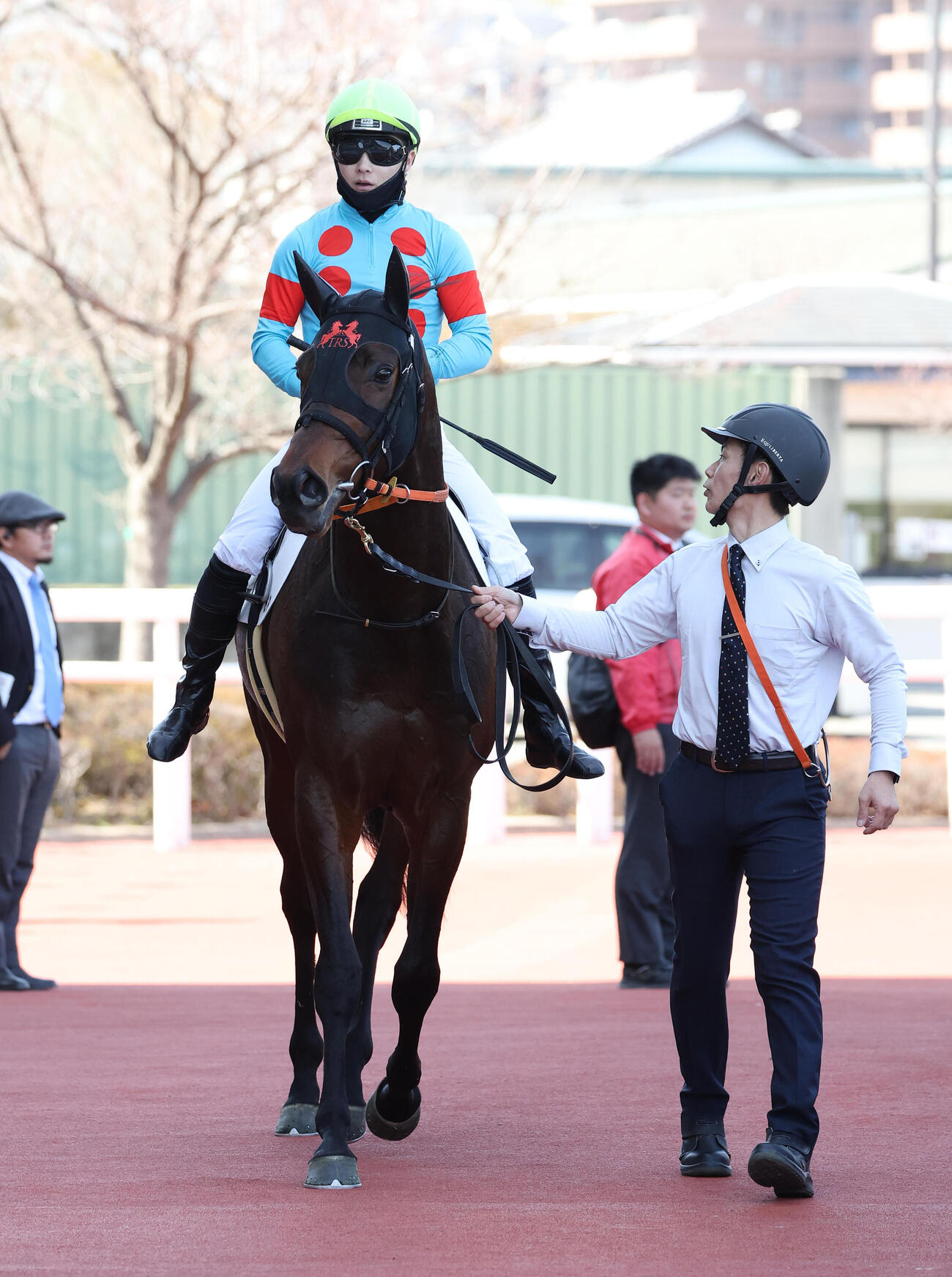 阪神6R、3歳1勝クラスを制したコンジェスタス（撮影・白石智彦）