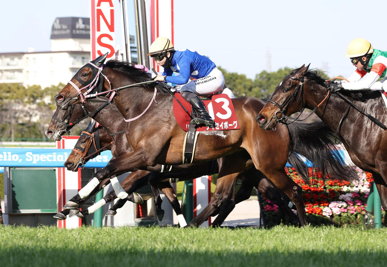 タイセイボーグが制したチューリップ賞（撮影・白石智彦）