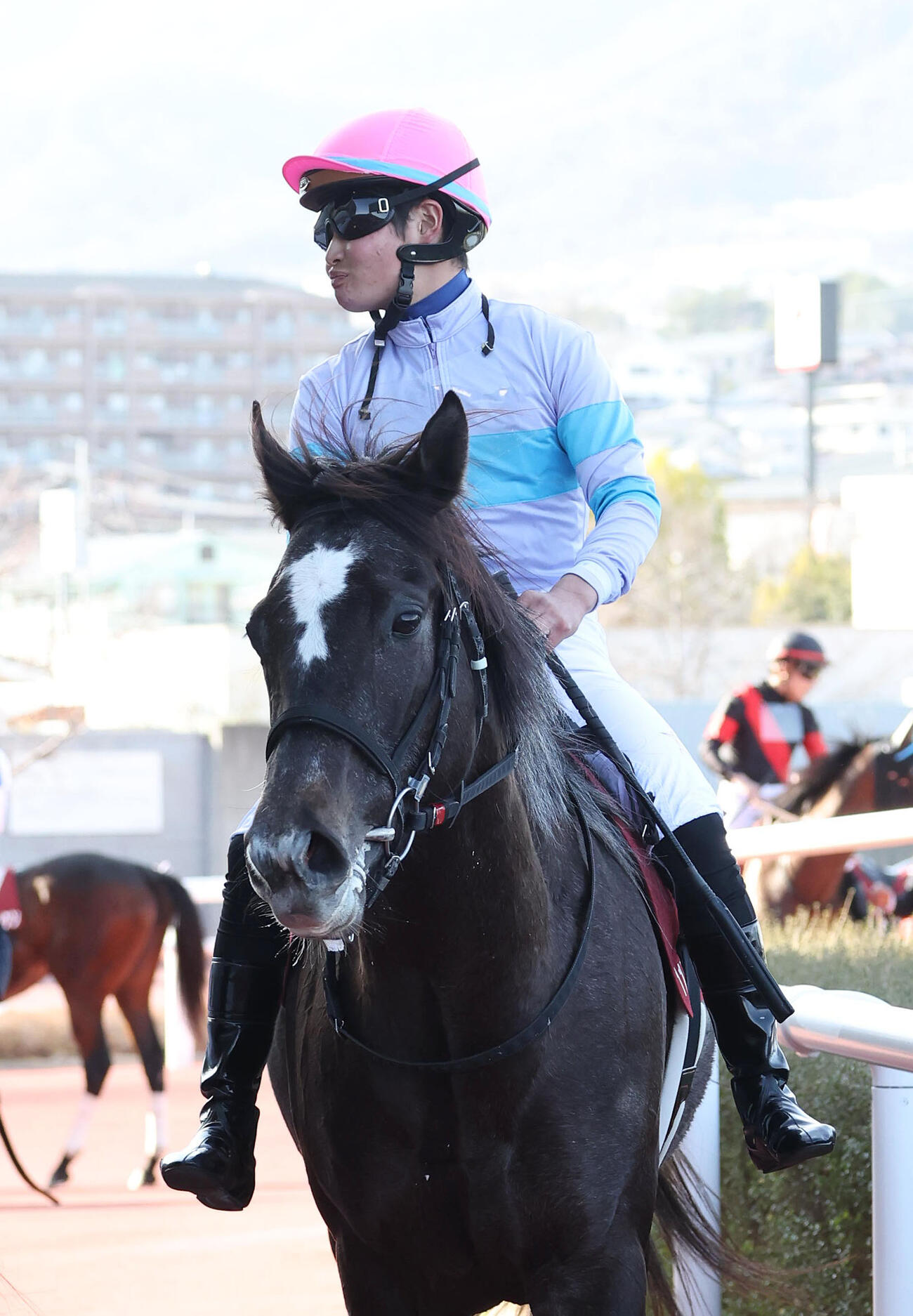 阪神11Rチューリップ賞、2着に入り桜花賞の優先出走権を獲得したナムラコスモス（撮影・白石智彦）