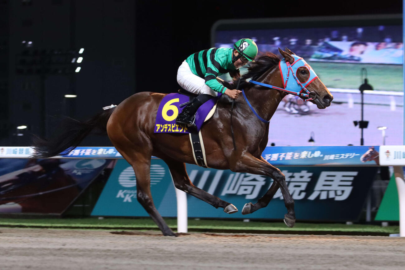 関東オークスを制したアンデスビエント（2024年6月撮影）