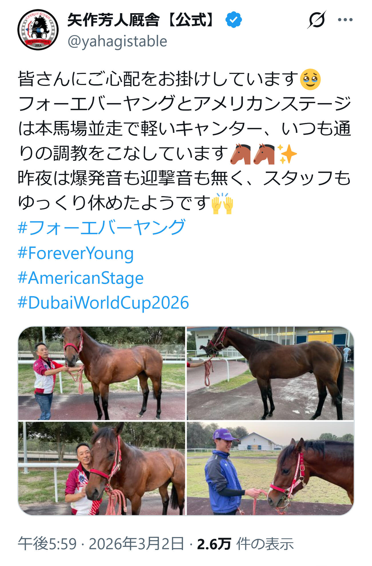 矢作厩舎のXから