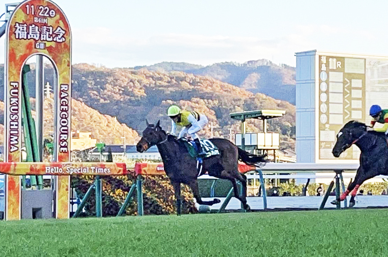 牝馬戦線をにぎわす4連勝中のニシノティアモに上原佑師「状態はすごく
