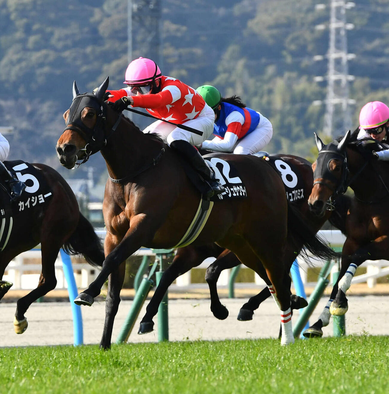 萌黄賞を制したルージュサウダージ