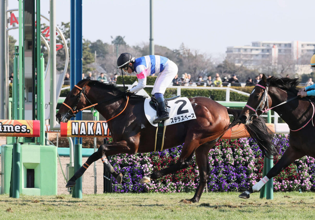 1月5日中山7R3歳1勝クラスを逃げ切ったステラスペース