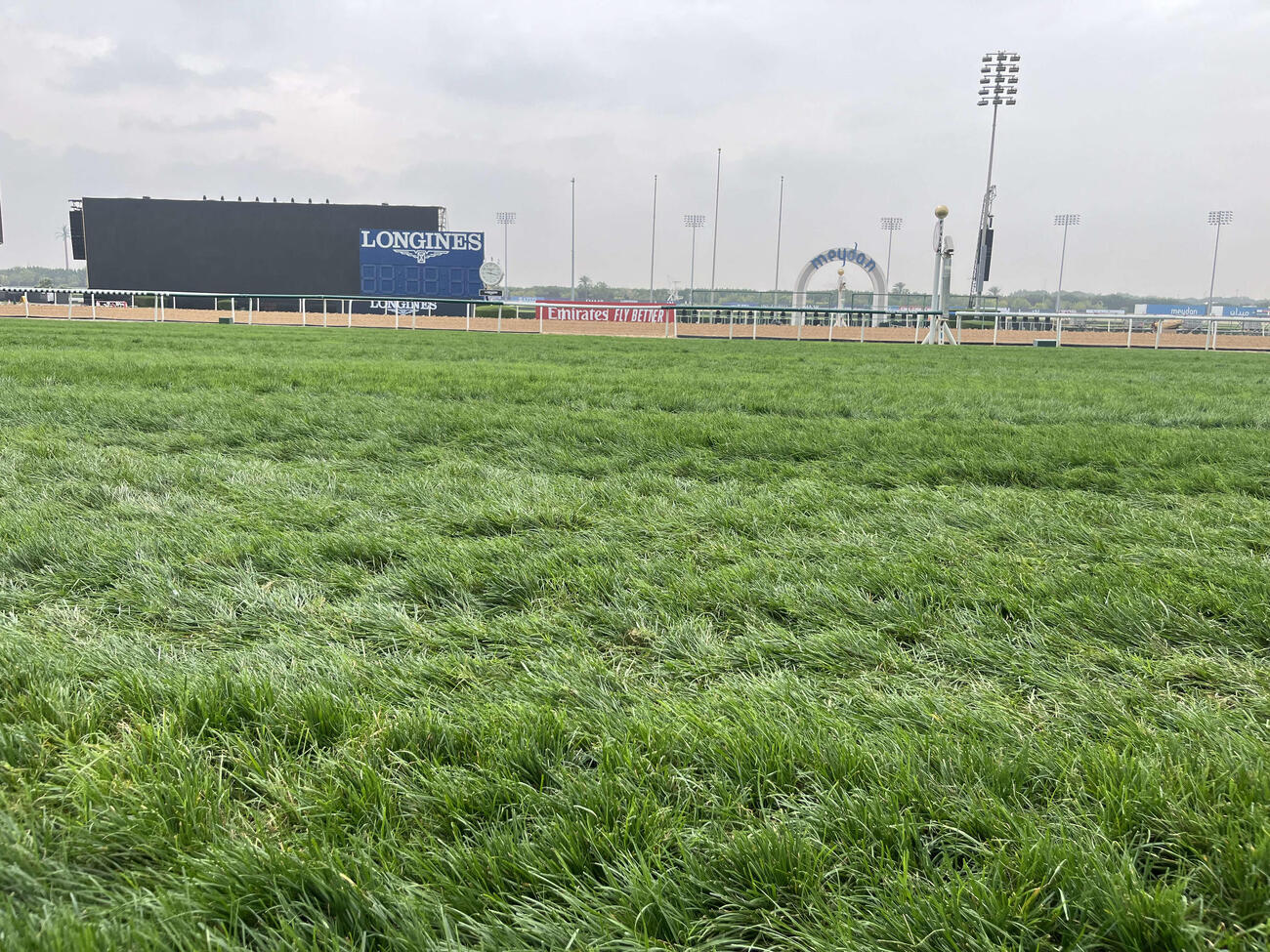ドバイワールドCが行われるメイダン競馬場（2024年撮影）