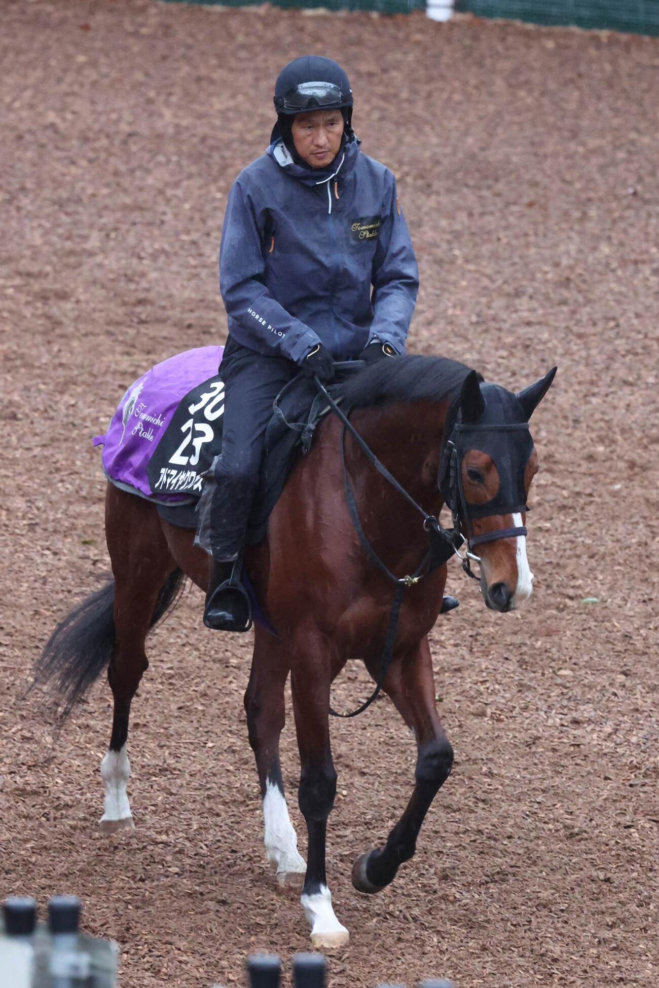 3日、馬場入りするアドマイヤクワッズ