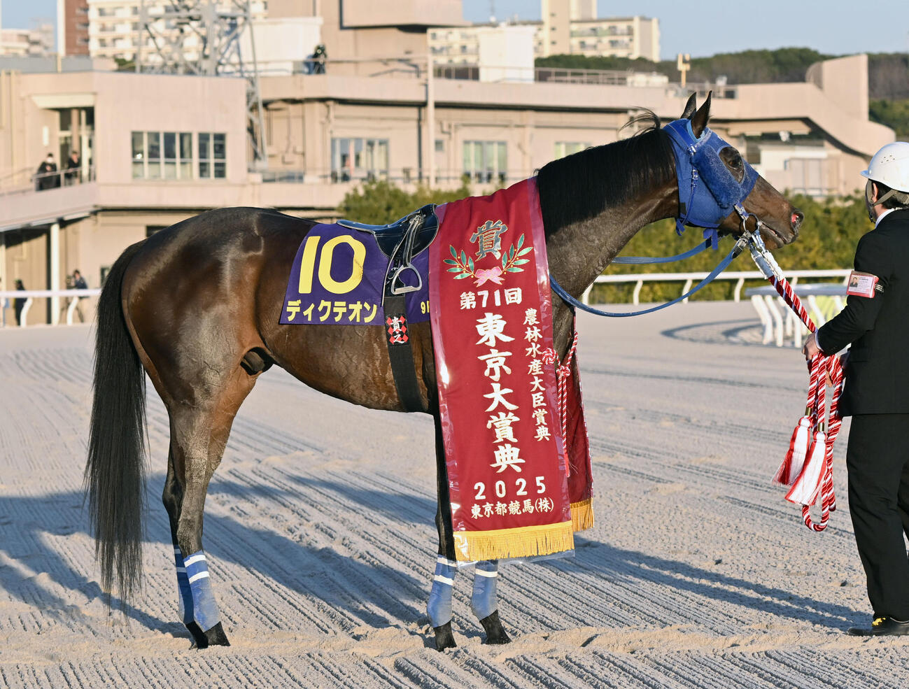 東京大賞典を矢野騎手で制したディクテオン（2025年12月29日撮影）
