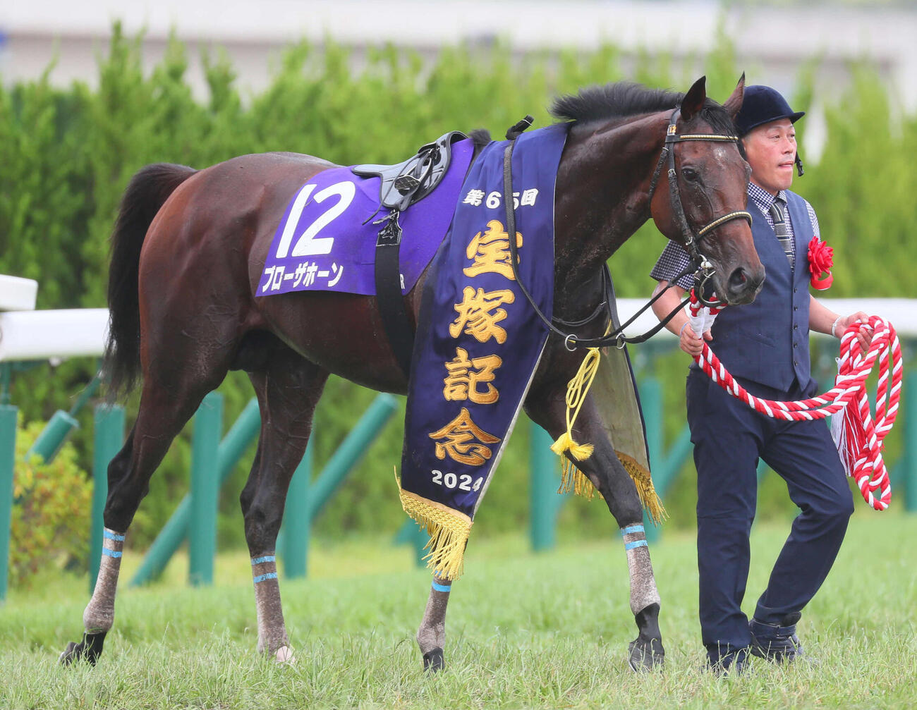 24年宝塚記念を制したブローザホーン