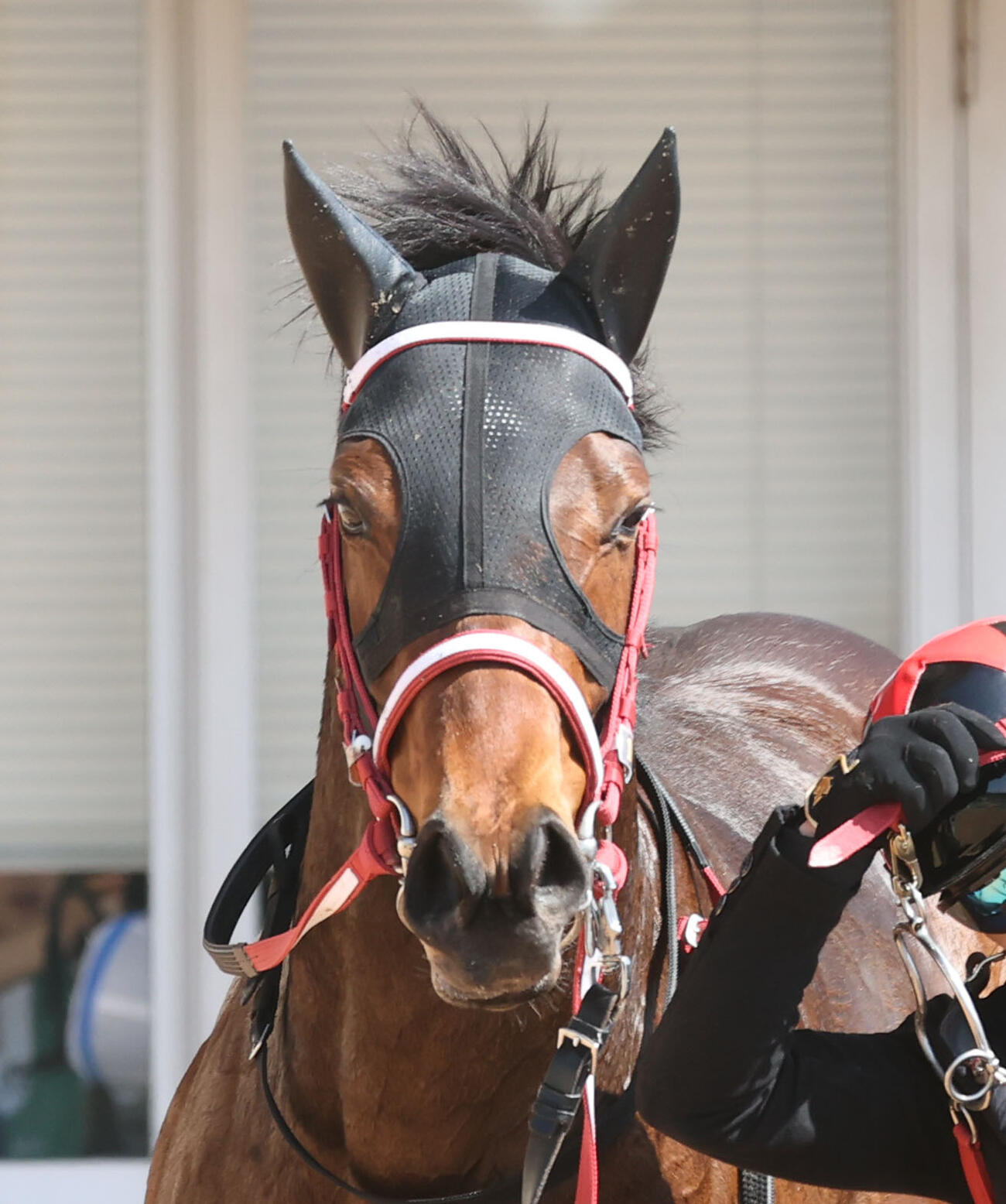 1日、小倉6R3歳未勝利戦を制したエクリュ