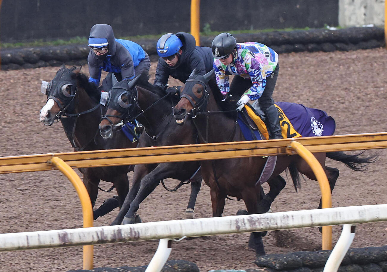 団野騎手を背にCウッドを3頭併せで追い切るバステール（中央）（撮影・白石智彦）
