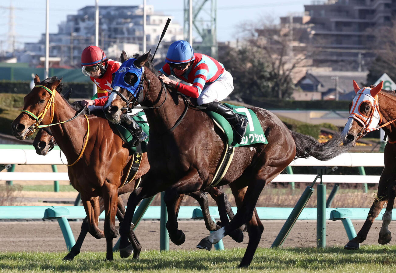 24年中山牝馬Sを制したコンクシェル