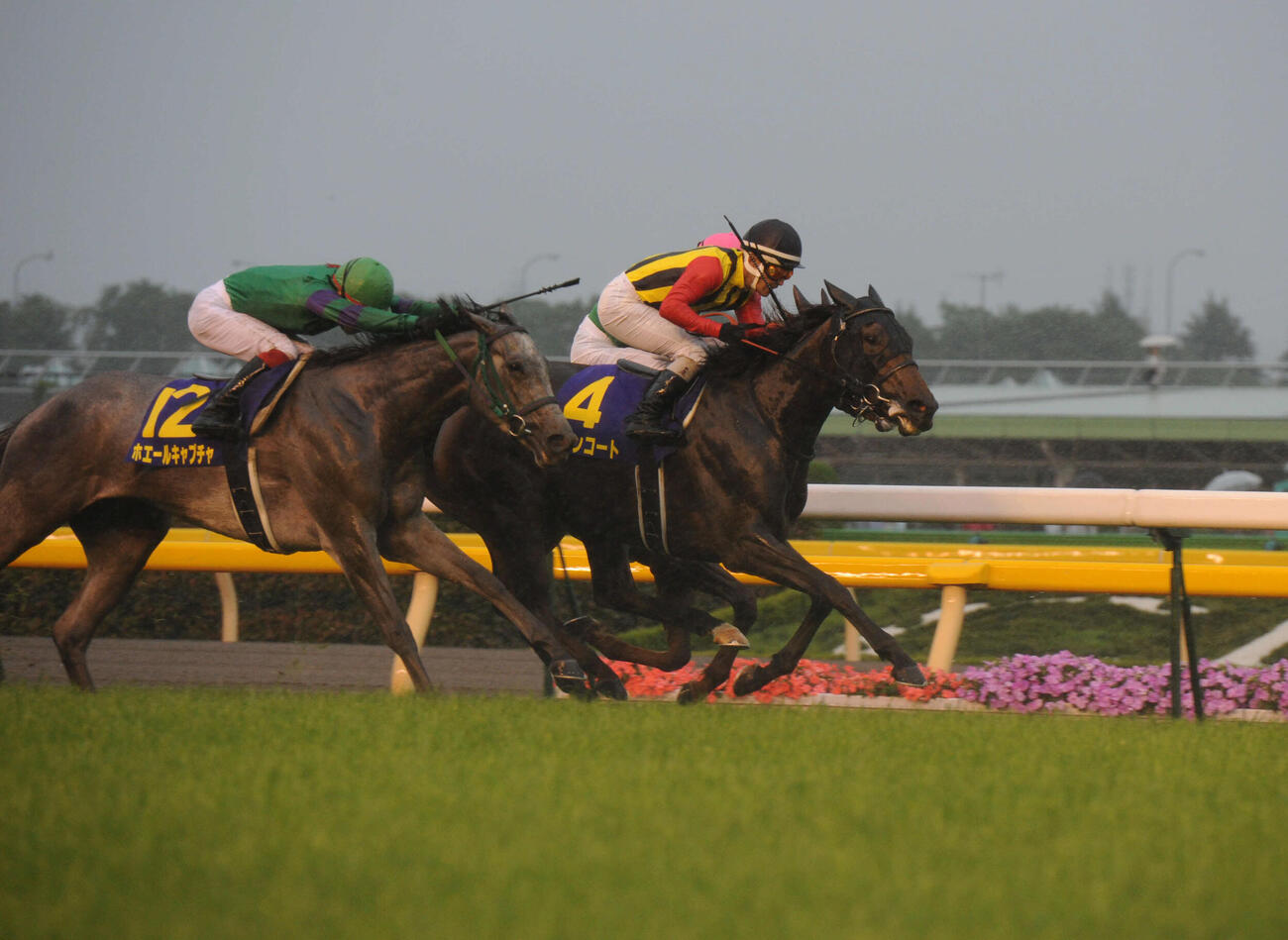 2011年、雨中のオークスを制したエリンコート