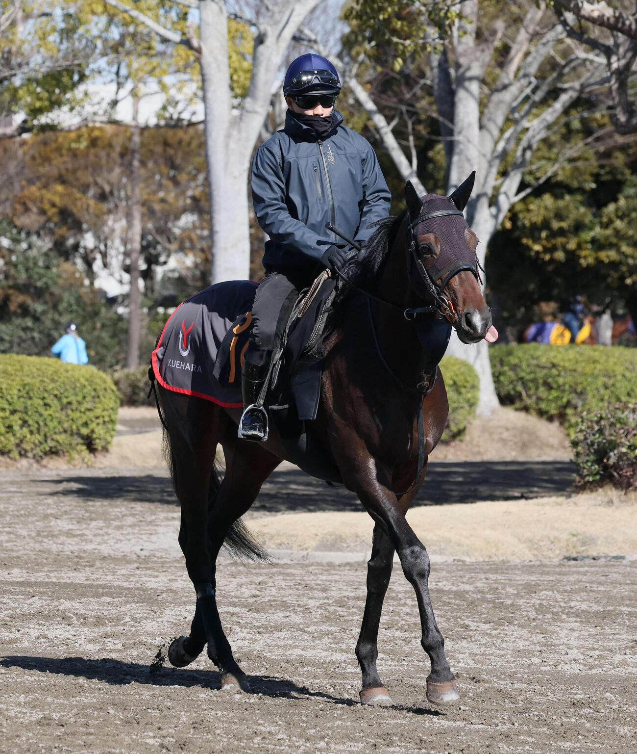 馬場へ向かうライヒスアドラーと佐々木騎手（撮影・丹羽敏通）