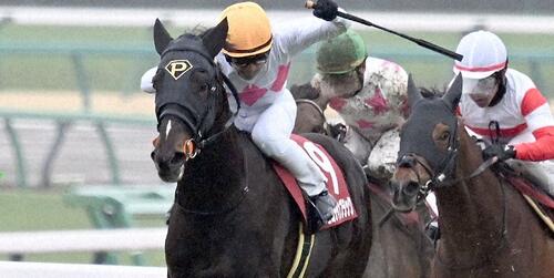 スプリングＳを制したピコチャンブラック＝2025年3月16日