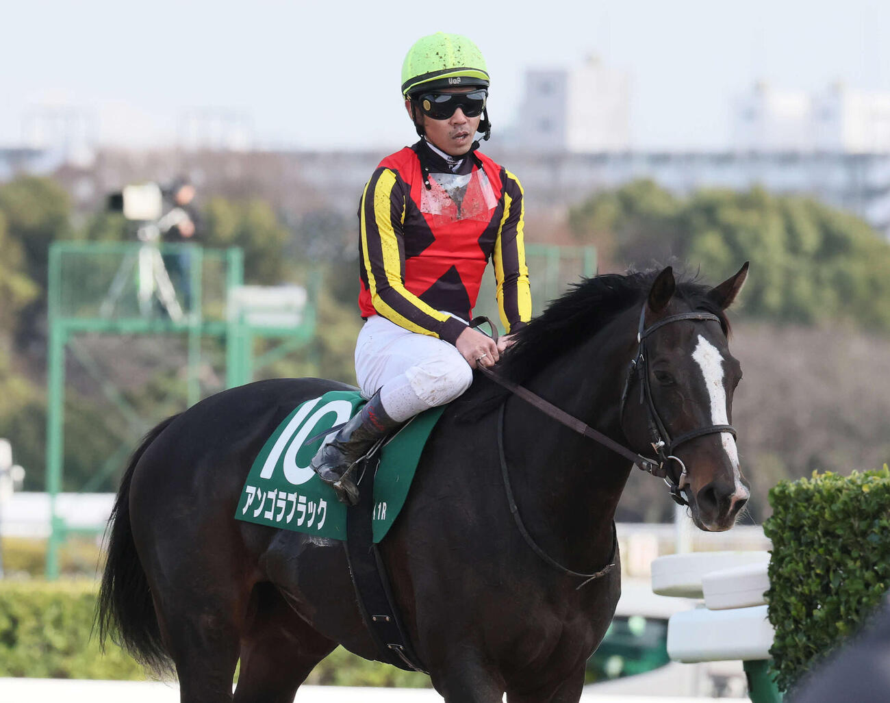 中山牝馬S1番人気で13着に敗れたアンゴラブラックと戸崎騎手（撮影・丹羽敏通）