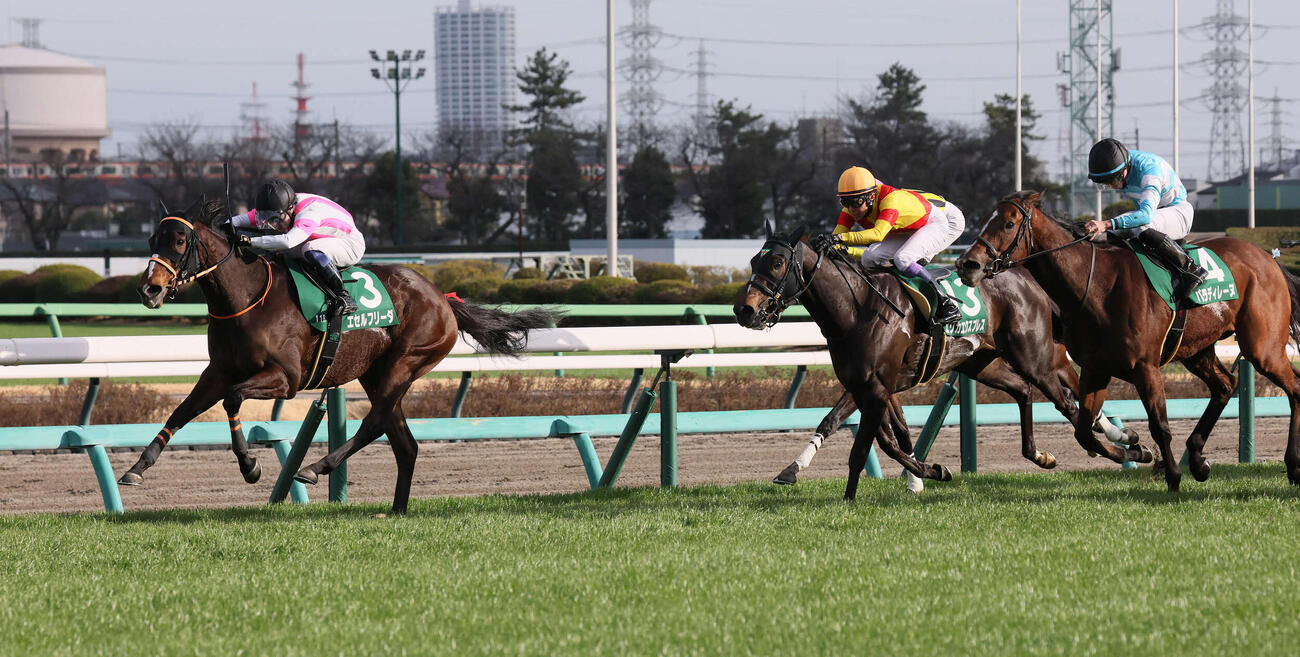 エセルフリーダが制した中山牝馬S（撮影・丹羽敏通）