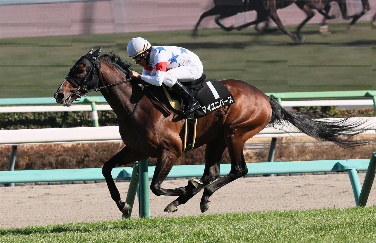 中山9R、湾岸Sを制したマイユニバースと横山典騎手（撮影・丹羽敏通）