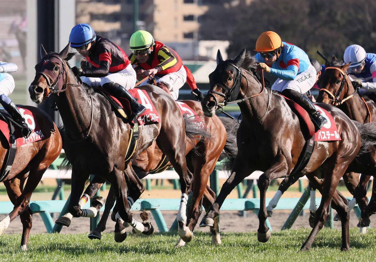 弥生賞2着に敗れたライヒスアドラー（左）。右は勝ったバステール（撮影・丹羽敏通）