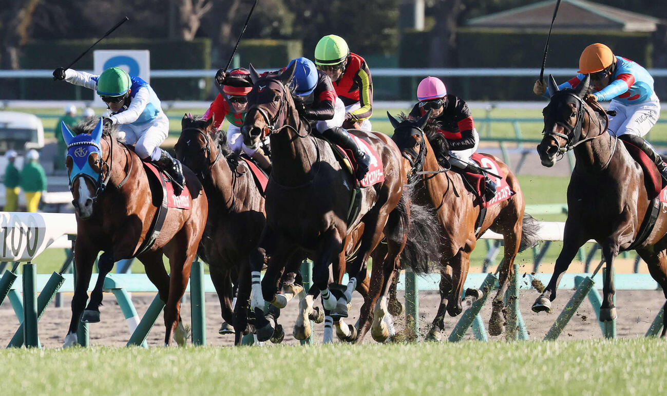 弥生賞3着に敗れたアドマイヤクワッズ（左）（撮影・丹羽敏通）