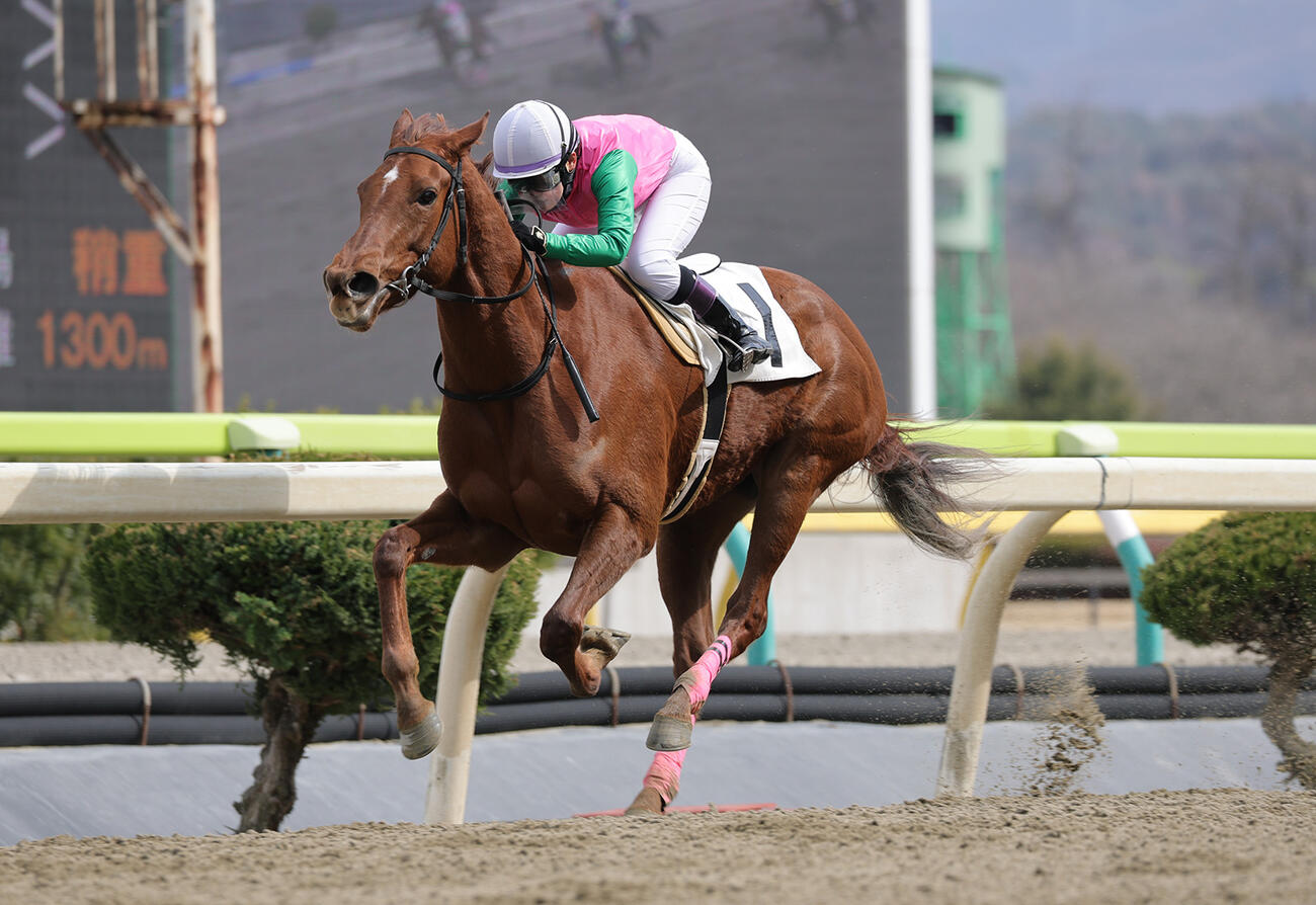 ハッピーグローリーで逃げ切り、デビュー即初勝利を飾った斎藤友香騎手（岩手県競馬組合提供）