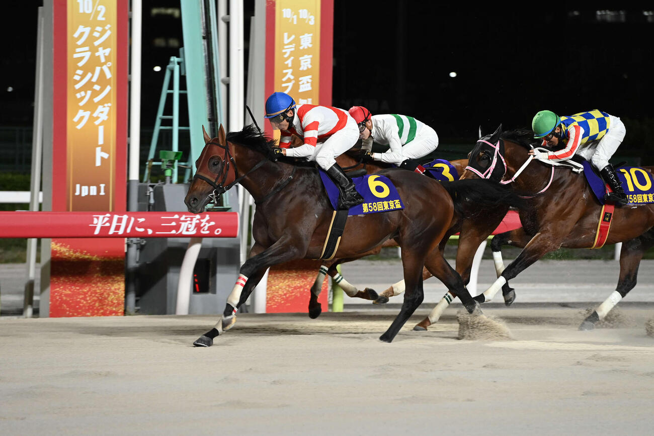 東京盃を制したチカッパ（写真提供・東京シティ競馬）